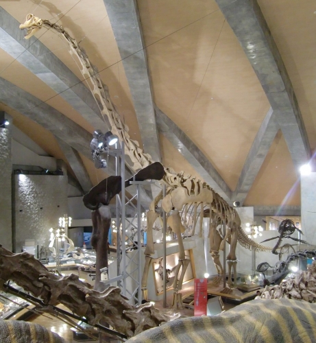 Brachiosaurus brancai 2