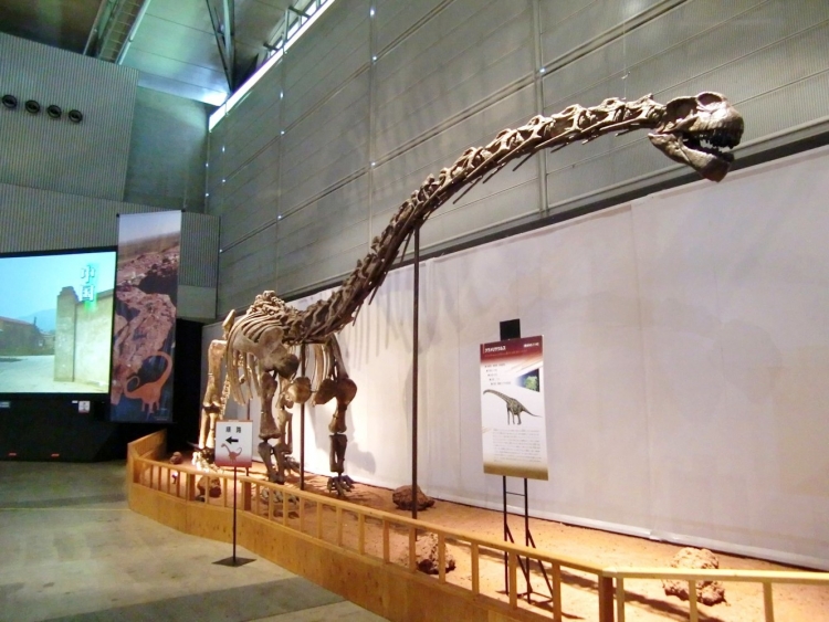 Klamelisaurus gobiensis 001