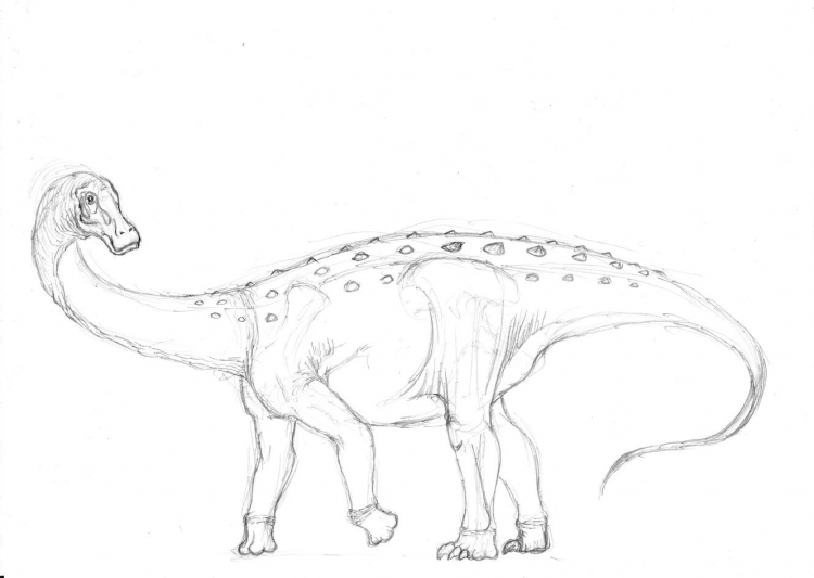 Maxakalisaurus topai 002