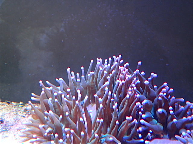 P4220014.jpg