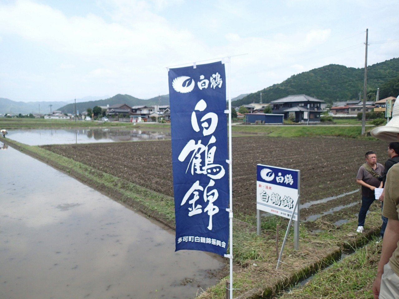 s-P6090048.jpg