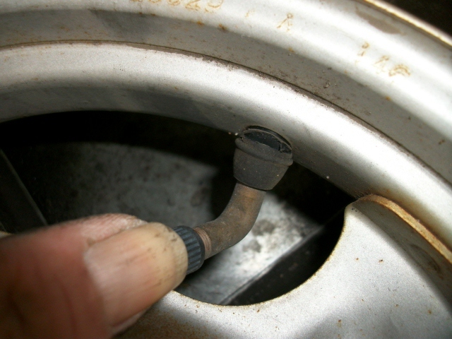 IMGP2703.jpg