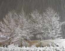 金沢でデザインを考える　クリエイティブディレクター加茂谷慎治のアメブロ-夜半から激しく降る雪