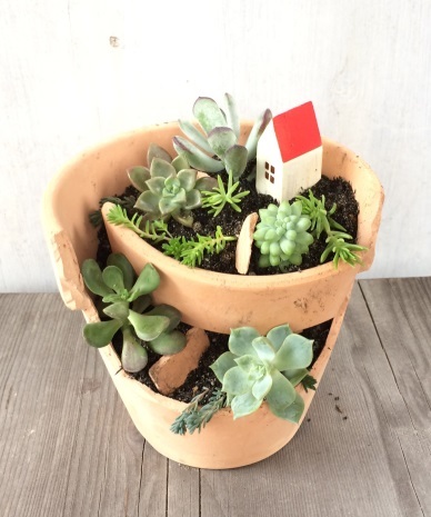 201805291.jpg