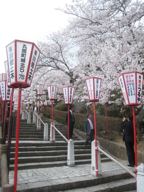 桜の回廊