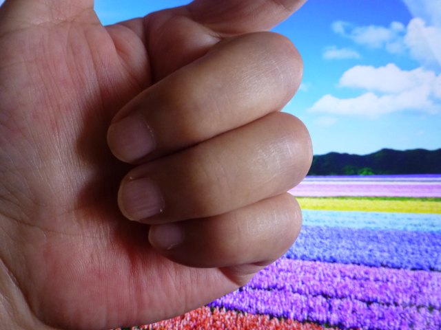 P1280885.jpg