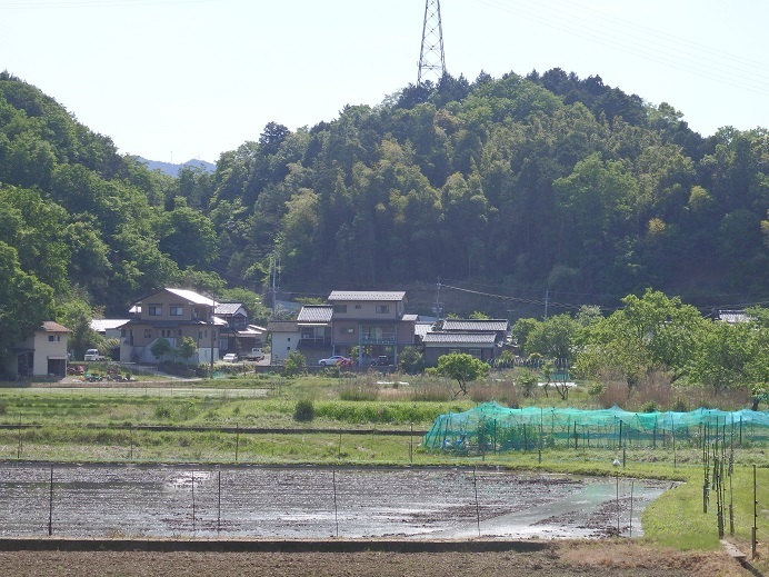 P5052100.jpg