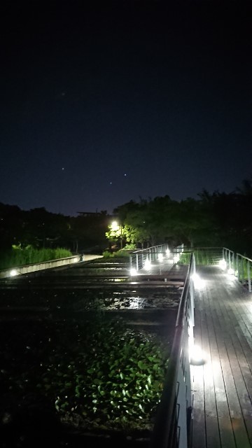 sonyudo002.jpg