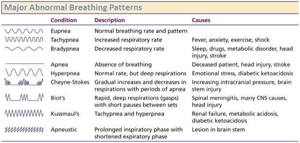 Major-Abnormal-Breathing-Patterns.jpg