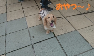 2018_06_23_003ブログ用