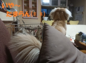 2018_06_28_101ブログ用