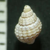 DSCN7189 _R