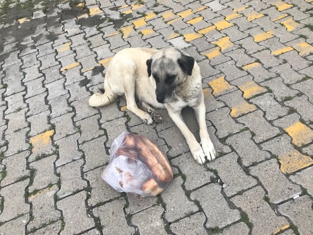 20180602152408a29.jpeg