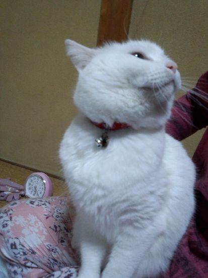 20180411-6.jpg