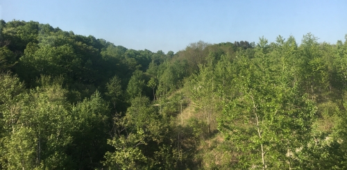 201805300010417ef.jpeg