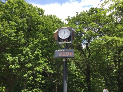 201805310019529d6.jpeg
