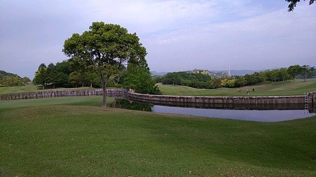 s-20180502_081026_127.jpg