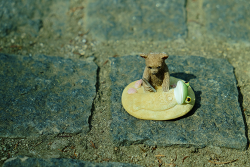 ツバキアキラが撮ったカエルのコポー。石畳の上で砂遊びをしているコポタロウとクマ。