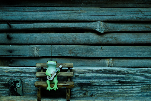 ツバキアキラが撮ったカエルのコポー。風情のある壁の前を独り占めしてウクレレを弾くコポタロウ。