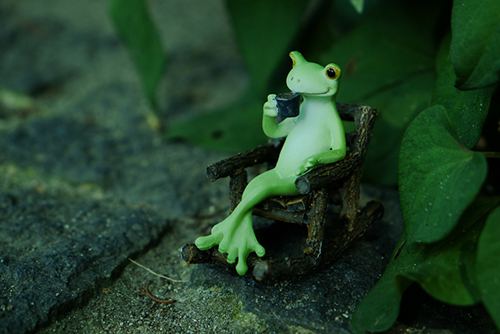 ツバキアキラが撮ったカエルのコポー。静かな葉陰で珈琲を飲むコポタロウ。
