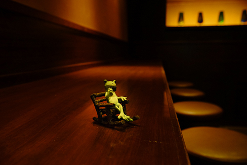 ツバキアキラが撮ったカエルのコポー。閉店間際のカフェで、貸切状態の贅沢を楽しみながら、珈琲を飲むコポタロウ。