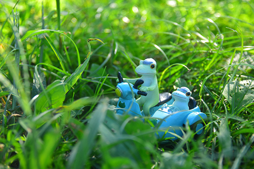 ツバキアキラが撮ったカエルのコポー。サイドカーで草むらの中を走って行く、コポタロウとコポミ。
