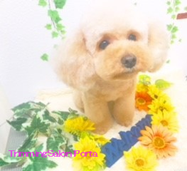 もな0705仕上げ