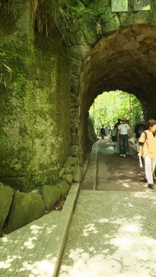 文学館へのトンネル