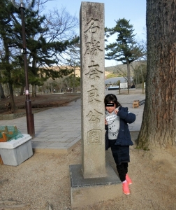 奈良公園1