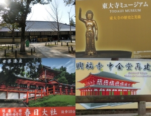 奈良公園4