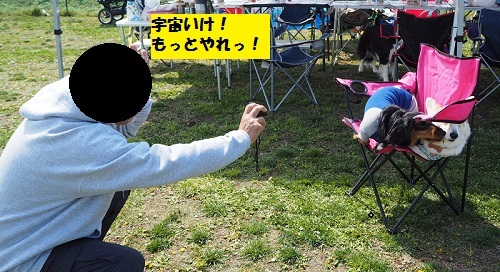 ちゃこぱぱったら