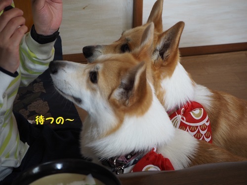 一緒にまつの