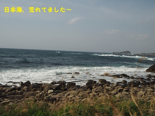 荒れた日本海