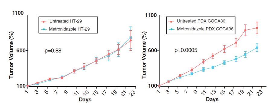 science-antibiotics-Fuso.png