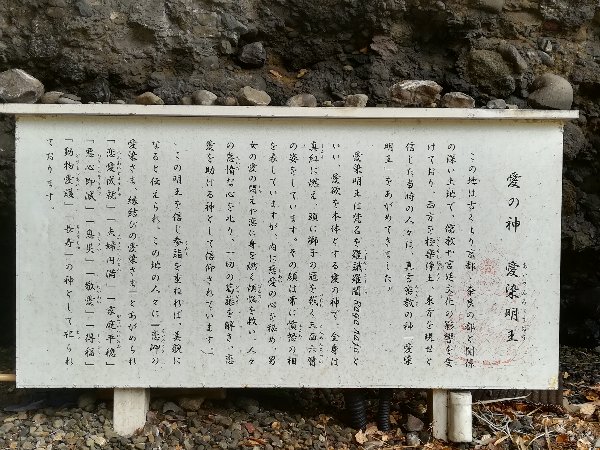 kochomon-echizen-003.jpg