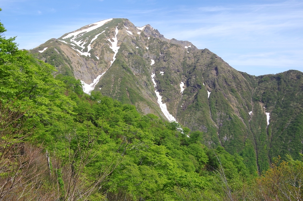 谷川岳を日帰り登山 花と展望の天神尾根 18年5月 ワッキーの登山ブログ