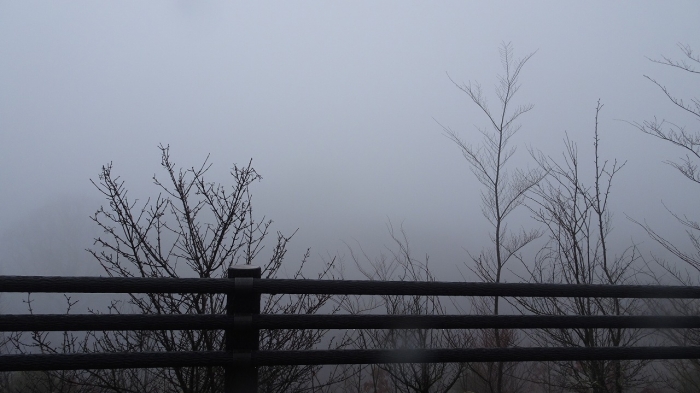 熊本観光 (12)
