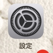 iPadPro１円ハゲ　３